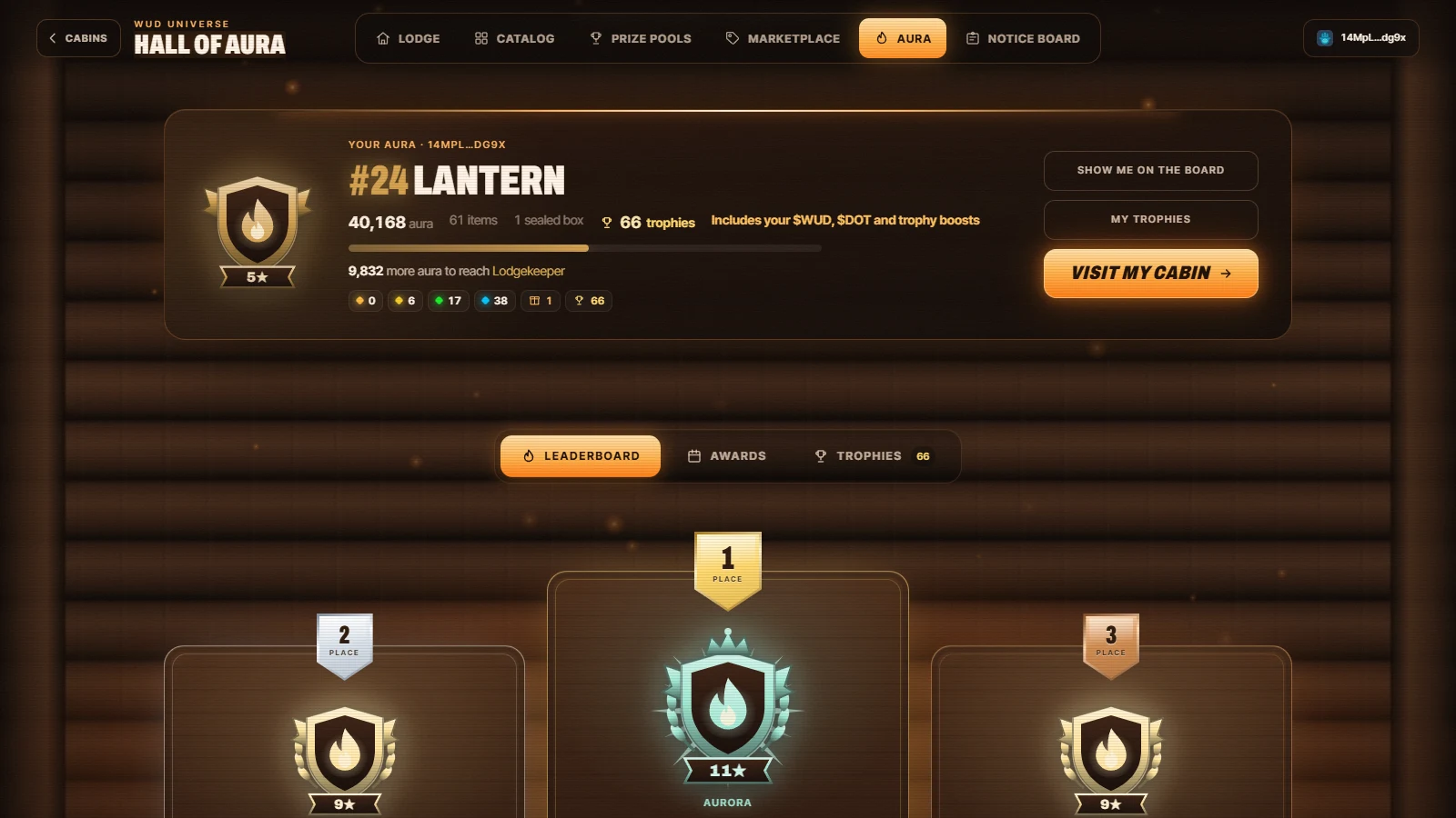 A sample resident's position card in the Hall of Aura showing rank, aura, items and trophies