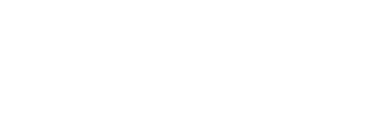 N3MUS