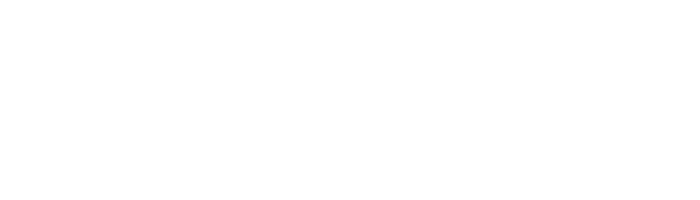 Unique Network